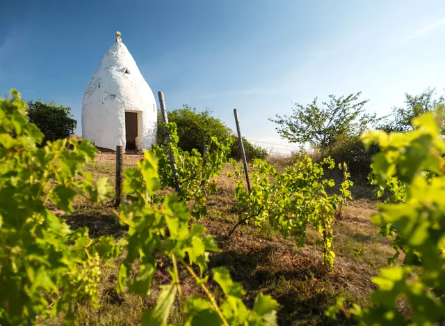 im Urlaub auf dem Weingut in Rheinhessen eine Weinbergwanderung zum Trullo bei Flonheim, dem Markenzeichen der rheinhessischen Weinlandschaft, machen