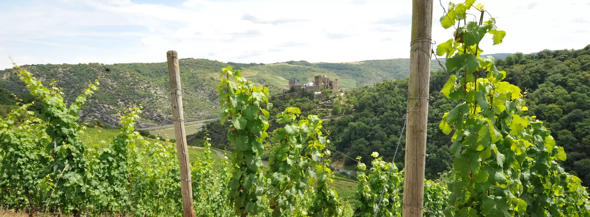 Blick auf die Burg im Mittelrheintal