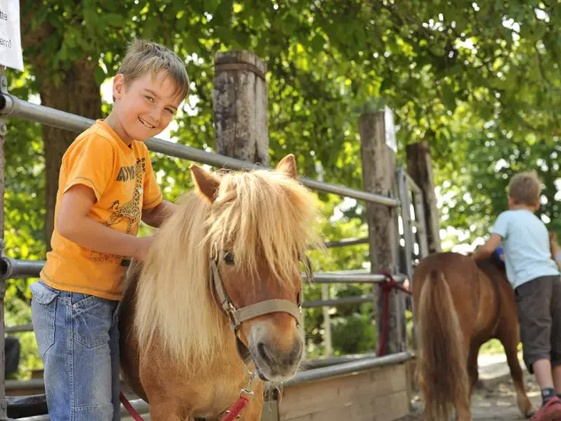 im Urlaub auf dem Reiterhof beim Putzen der Pferde helfen