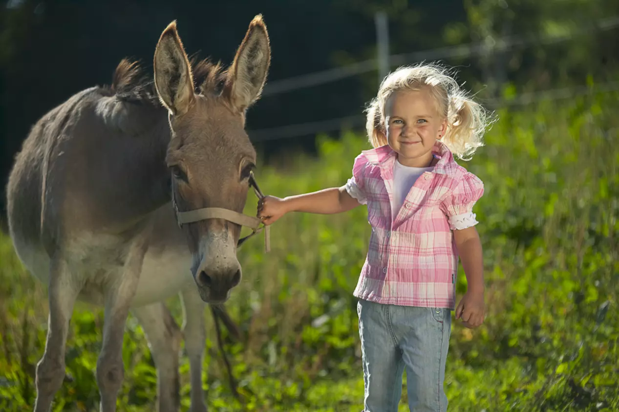 Mädchen mit Esel - © LAG Bayern
, LAG Bayern