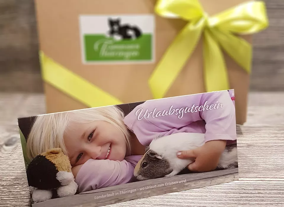 Urlaubsgutschein Meerschweinchen im mit Heu gefüllten Geschenkkarton