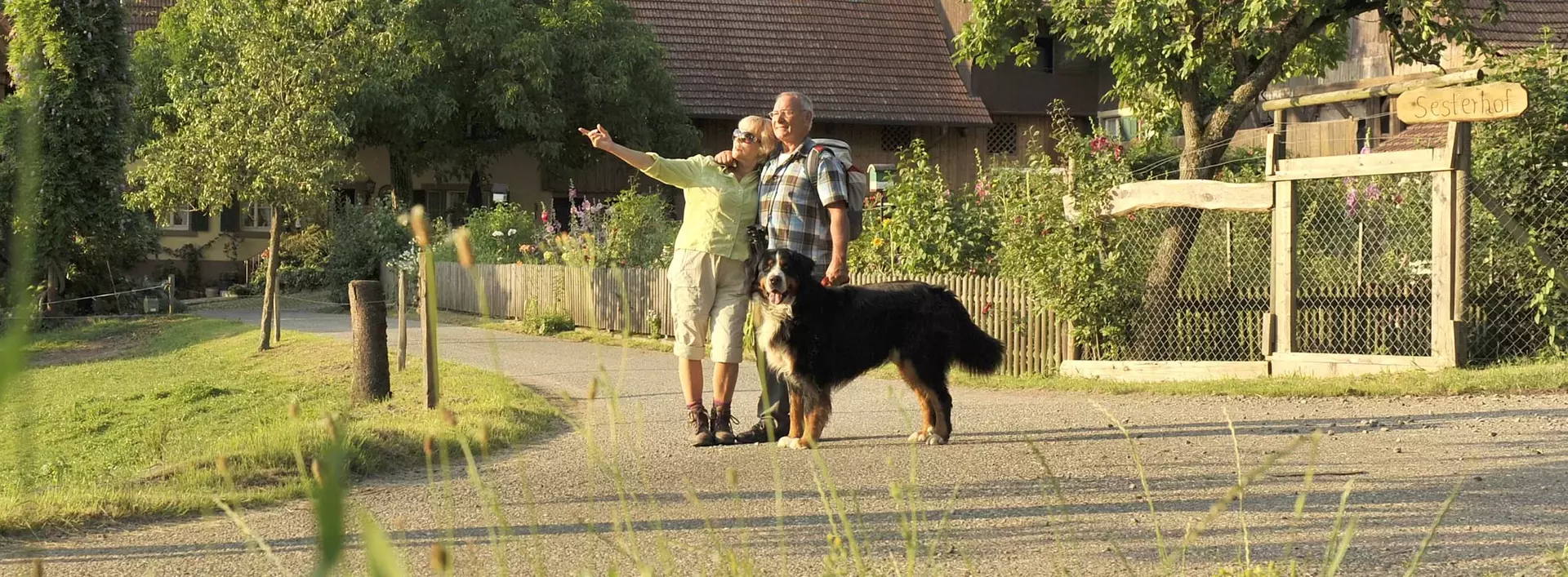 im Urlaub mit Hund im Schwarzwald Wanderungen unternehmen
