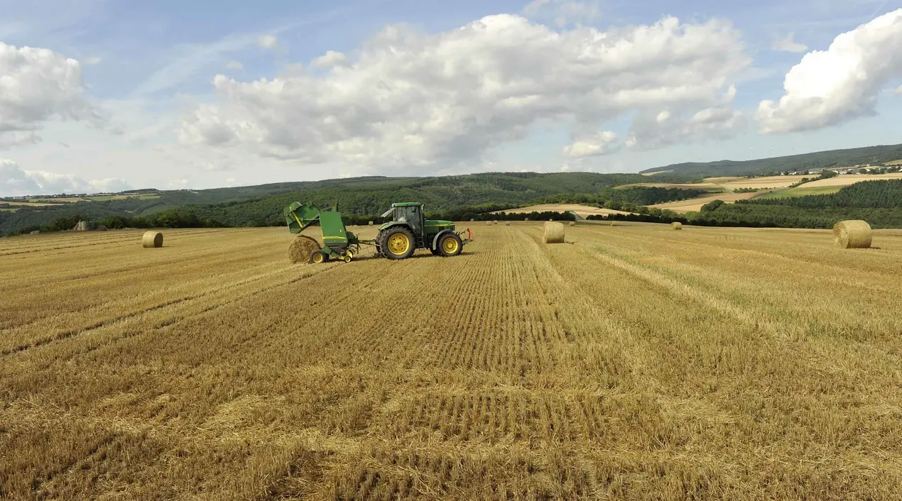 Traktor mit Ballenpresse fährt übers Stoppelfeld und Presst runde Strohballen. 