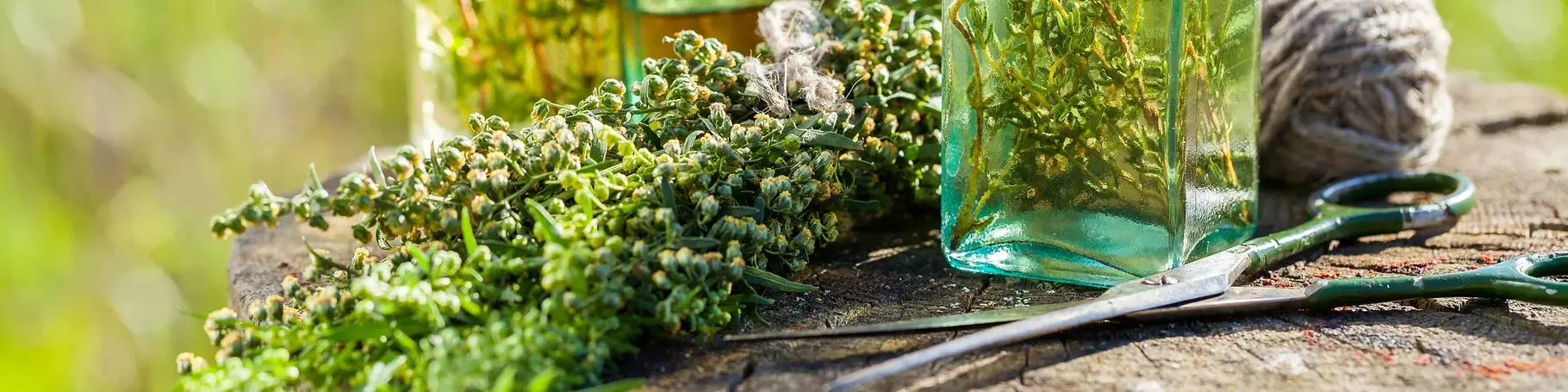 im Landurlaub bieten kreative Mitmach-Kurse eine abwechslungsreiche Freizeitgestaltung