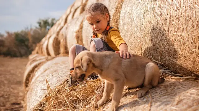 Ein kleines Kind sitzt auf Strohballen und streichelt einen jungen Hund auf dem Bauernhof. Das Bild steht für familienfreundlichen Urlaub mit Hund im Bayerischen Wald, Naturerlebnisse, Tiere und entspannte Ferien auf dem Land.