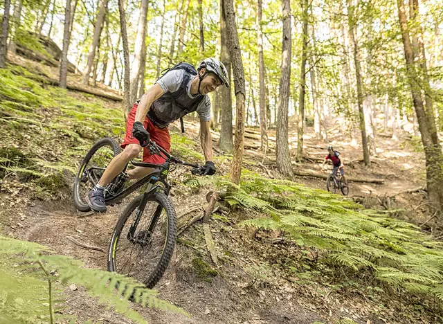 im Urlaub in der Pfalz eine Mountainbiketour auf dem über 900 Kilometern langen Streckennetz machen