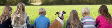 Kinder mit Hund auf der Wiese - © Urlaub auf dem Bauernhof SH e.V., Timon Suhk im Urlaub in Schleswig-Holstein andere Kinder kennlernen und spielen