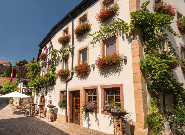 im Urlaub auf dem Weingut in der Pfalz durch die Winzergassen spazieren