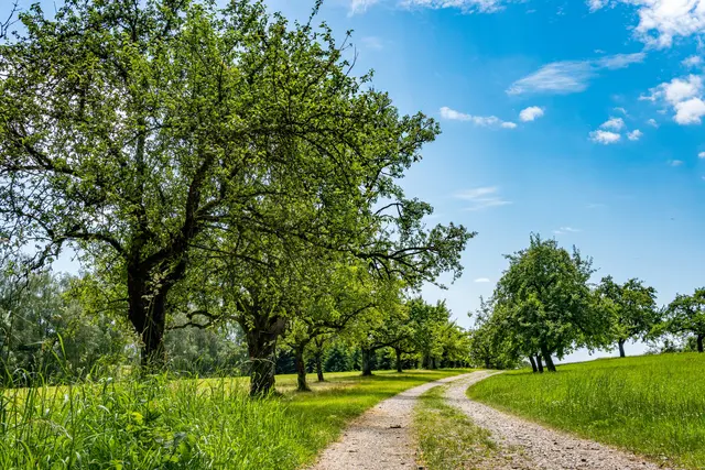 Fantastic hiking on northern Lake Constance Fantastic hiking on northern Lake Constance with a wonderful view
