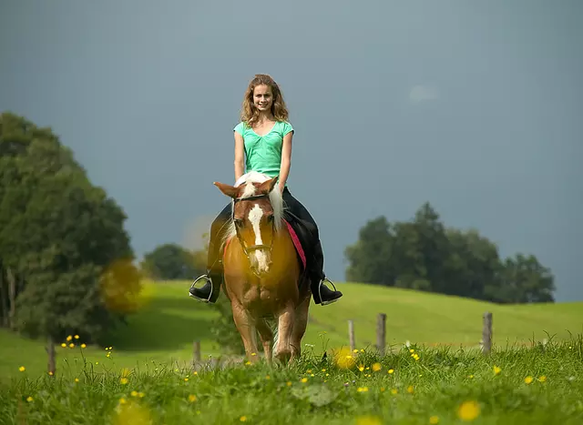in den Reiterferien in Bayern mit dem Pferd in  die Umgebung ausreiten