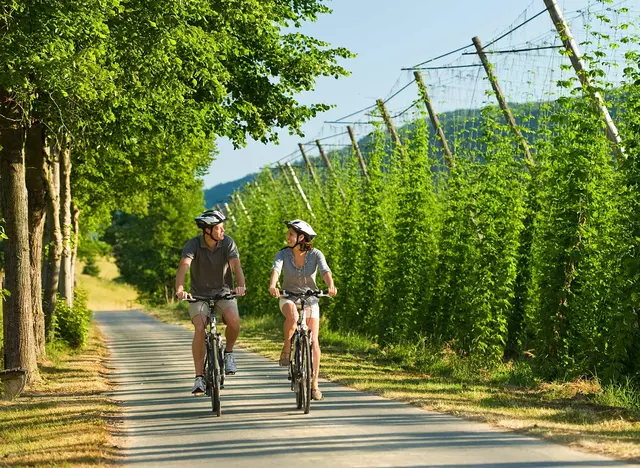 im Urlaub in der Eifel eine Radtour auf dem 100 Kilometer langen Prüm-Radweg von
Stadtkyll bis Minden entlang der Prüm machen