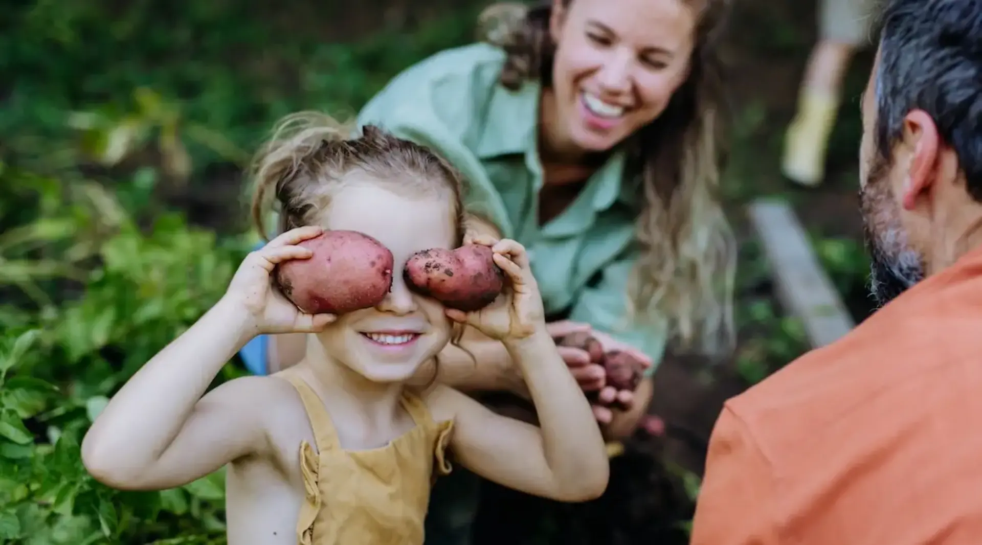 Ein lachendes Mädchen hält sich Kartoffeln vor die Augen, während eine Familie im Garten Kartoffeln erntet. 