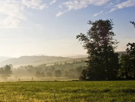 Der Hohenstein erhebt sich mit seinen 340,5 m ü. NHN im Westen des Süntels und beeindruckt mit steilen Felsklippen, dichten Wäldern und einem weiten Blick über das Weserbergland.