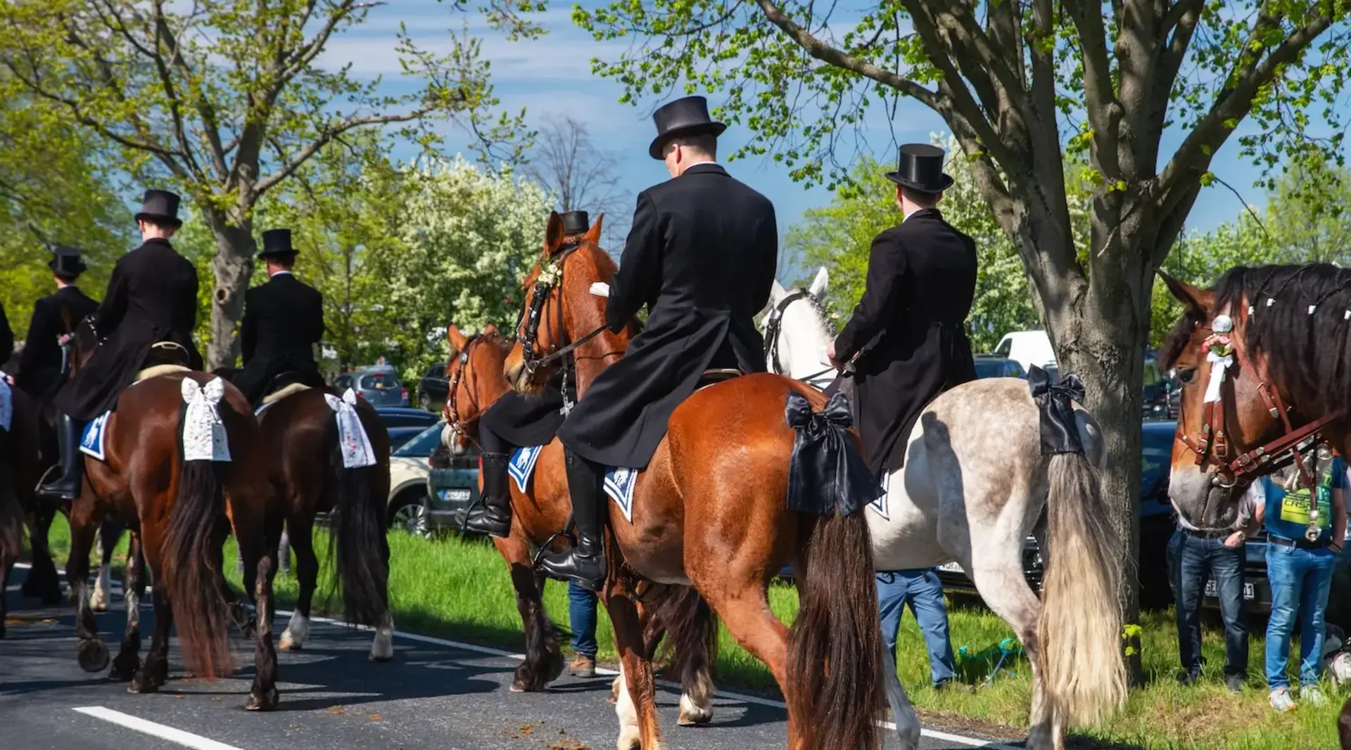 Festlich geschmückte Pferde und Reiter in schwarzer Festkleidung ziehen an einem Frühlingstag durch die Straßen.