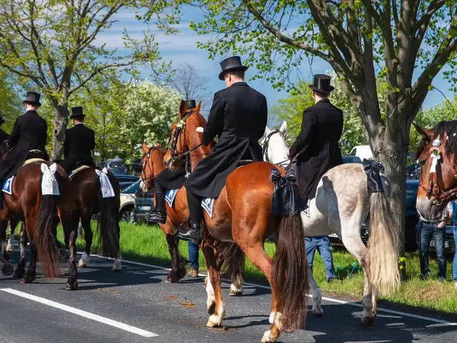 Festlich geschmückte Pferde und Reiter in schwarzer Festkleidung ziehen an einem Frühlingstag durch die Straßen.