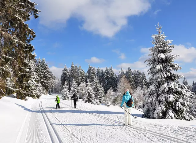 Winterurlaub in Thüringen buchen und im Thüringer Wald Ski fahren
