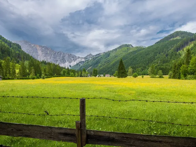 Landschaft in Kärnten – Urlaub auf dem Land in Österreich - © Sonja Birkelbach, AdobeStock Grüne Wiesen mit Weidezaun vor der Berglandschaft in Kärnten, Österreich – Urlaub auf dem Land in den Alpen.