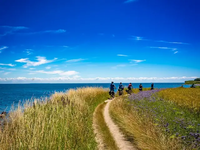 Fünf Radler genießen eine Fahrt auf einem sandigen Küstenweg, flankiert von gelb leuchtendem Kornfeld und bunten Wildblumen. Im Hintergrund glitzert die Ostsee – eine harmonische Kombination aus ländlicher Idylle und maritimem Flair der Insel Fehmarn. 