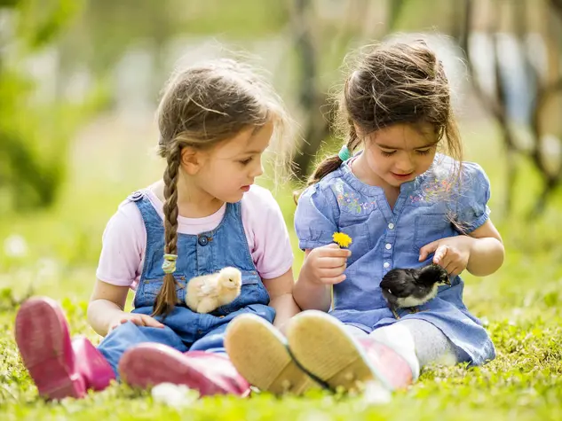 Kinder mit Küken im Garten - © Boggy, AdobeStock.com Bei einem Familienurlaub auf dem Bauernhof in Thüringen erleben Kinder viele Tiere.