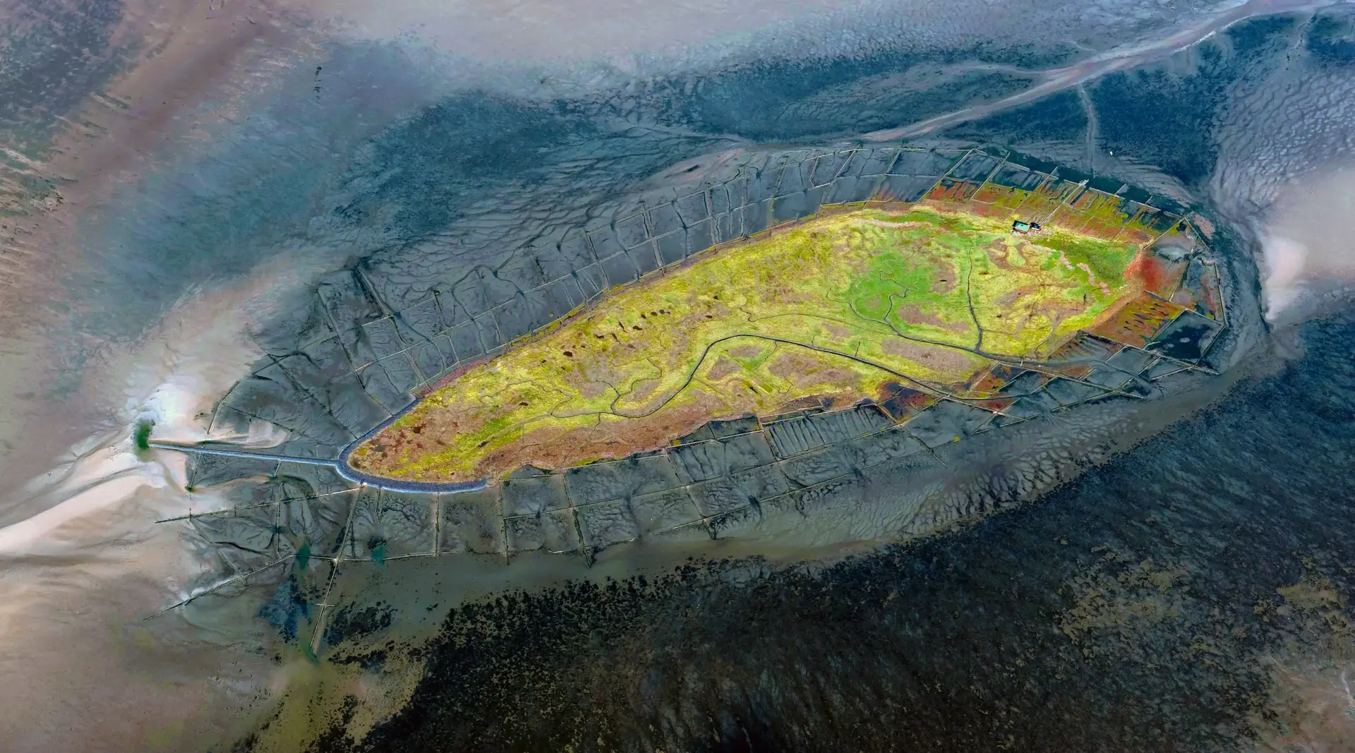 Die unbewohnte Hallig Norderoog im Wattenmeer von oben