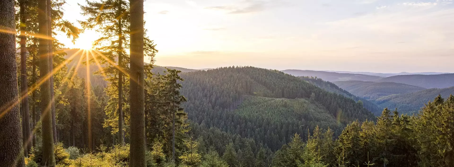 beim Wandern auf dem Rothaarsteig im Sauerland eine herrliche Aussicht genießen