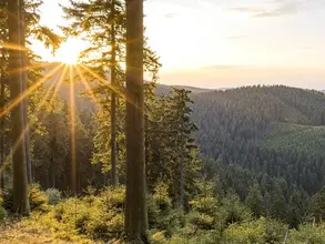 beim Wandern auf dem Rothaarsteig im Sauerland eine herrliche Aussicht genießen