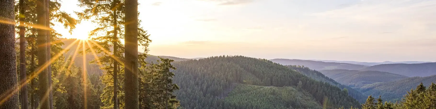 beim Wandern auf dem Rothaarsteig im Sauerland eine herrliche Aussicht genießen