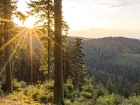 beim Wandern auf dem Rothaarsteig im Sauerland eine herrliche Aussicht genießen