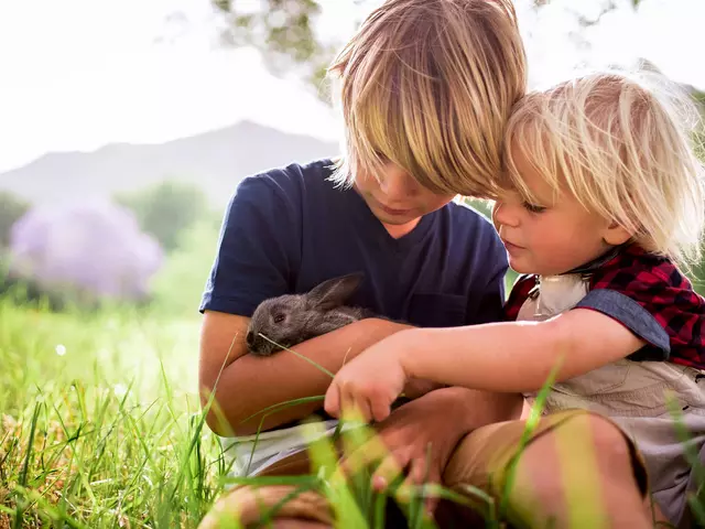 Urlaub auf Baby- & Kinderferienhöfen in Thüringen: Jungen streicheln streicheln ein Kaninchen