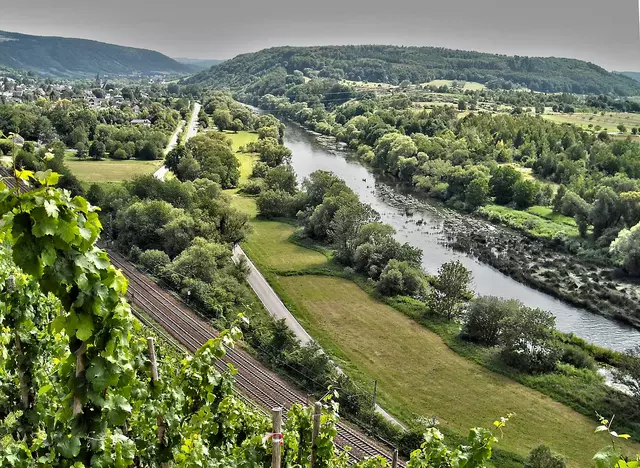 im Urlaub auf dem Weingut im Saarland eine Weinbergwanderung machen