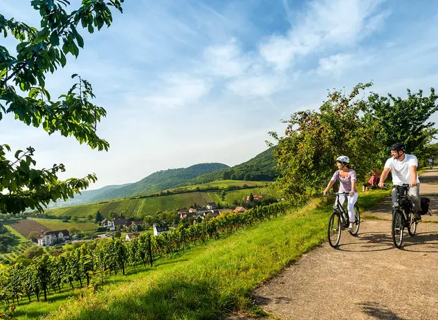 im Urlaub auf dem Weingut in der Pfalz eine Radtour auf dem Radweg Deutsche Weinstraße machen
