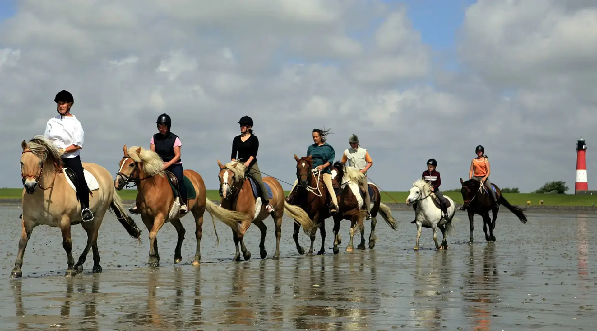 im Urlaub auf dem Reiterhof an der Nordsee einen Ausritt im Wattenmeer machen