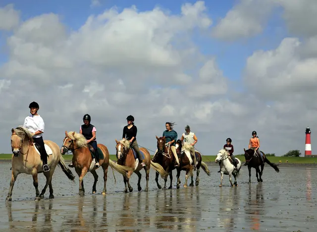 im Urlaub auf dem Reiterhof an der Nordsee einen Ausritt im Wattenmeer machen