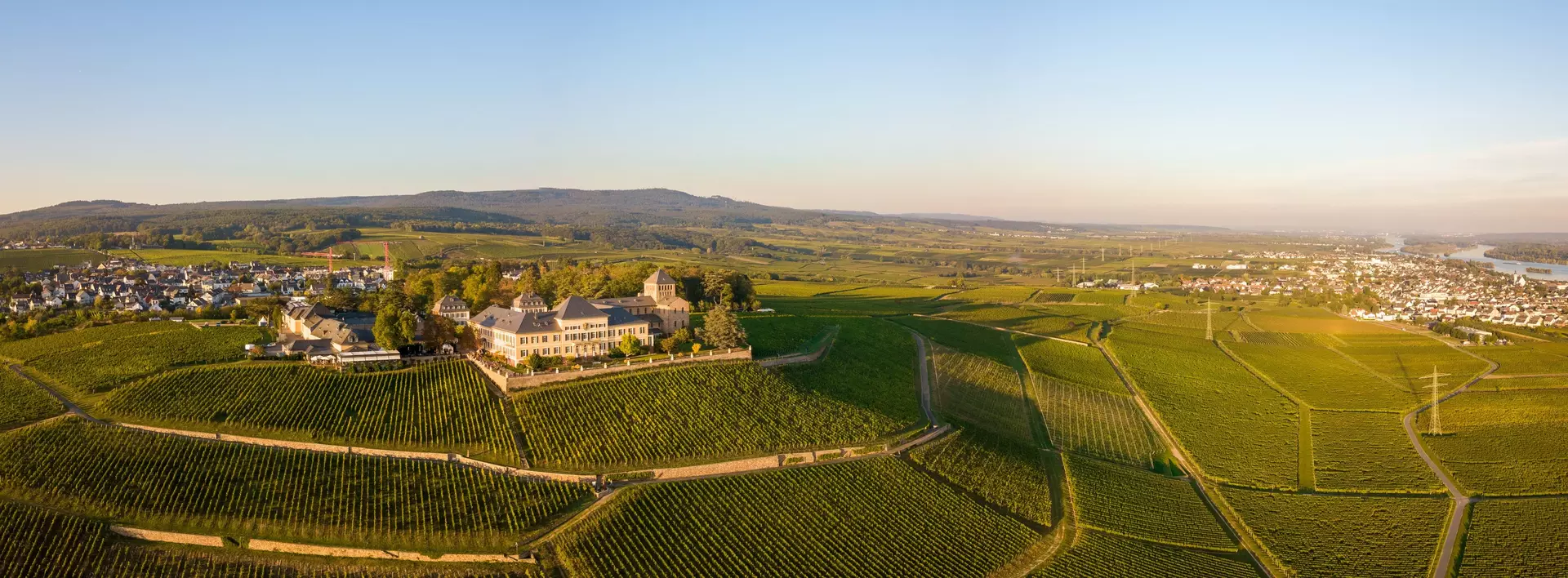 Luftaufnahme mit Drohne im Rheingau bei den Weinbergen von Schloss Johannisberg zwischen Eltville und Rüdesheim am Rhein, Hessen 