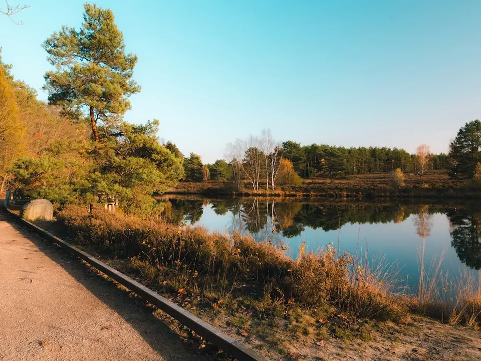 Lüneburger Heide Ferienhäuser: Urlaub am Wasser