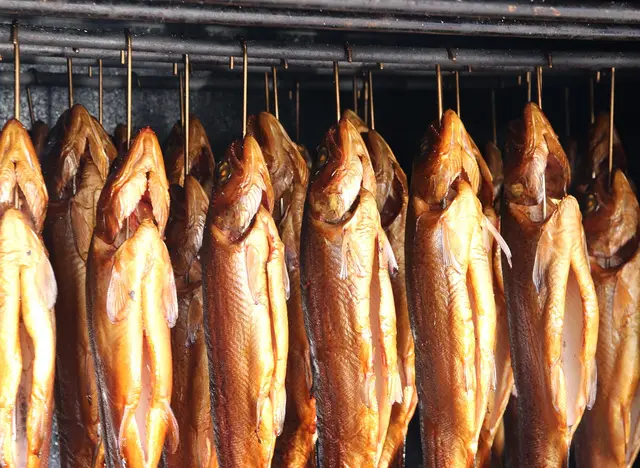 Frischen Fisch im Ofen räuchern im Angelurlaub