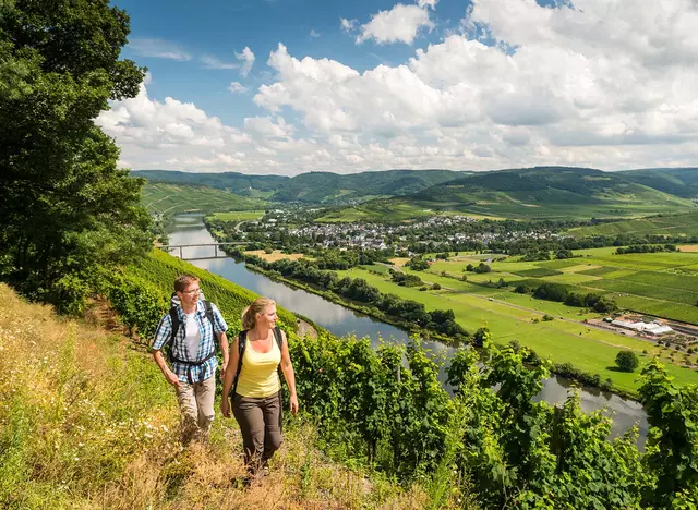 im Urlaub an der Mosel eine Wanderung auf dem Moselsteig unternehmen