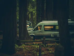 Modern Class B Motorhome Camper Van Camping Between Redwood Trees. Northern California, United States.