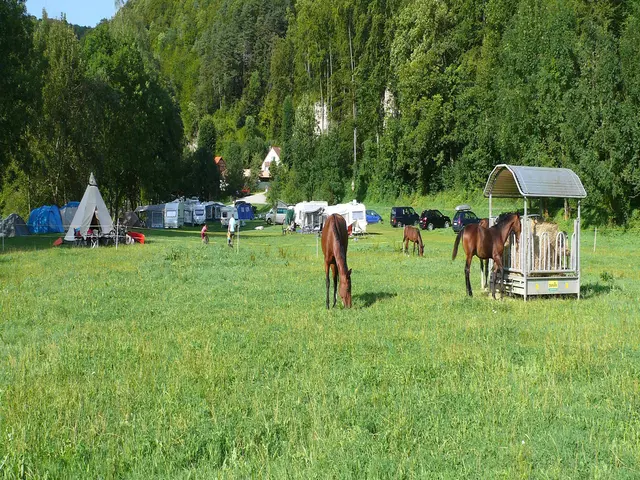 Campingurlaub in Thüringen - mit dem Zelt, Wohnwagen oder Wohnmobil auf dem Bauernhof in Thüringen Urlaub machen