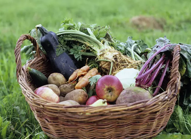 auf dem Gesundheitshof in Thüringen mit frischem Obst und Gemüse kochen