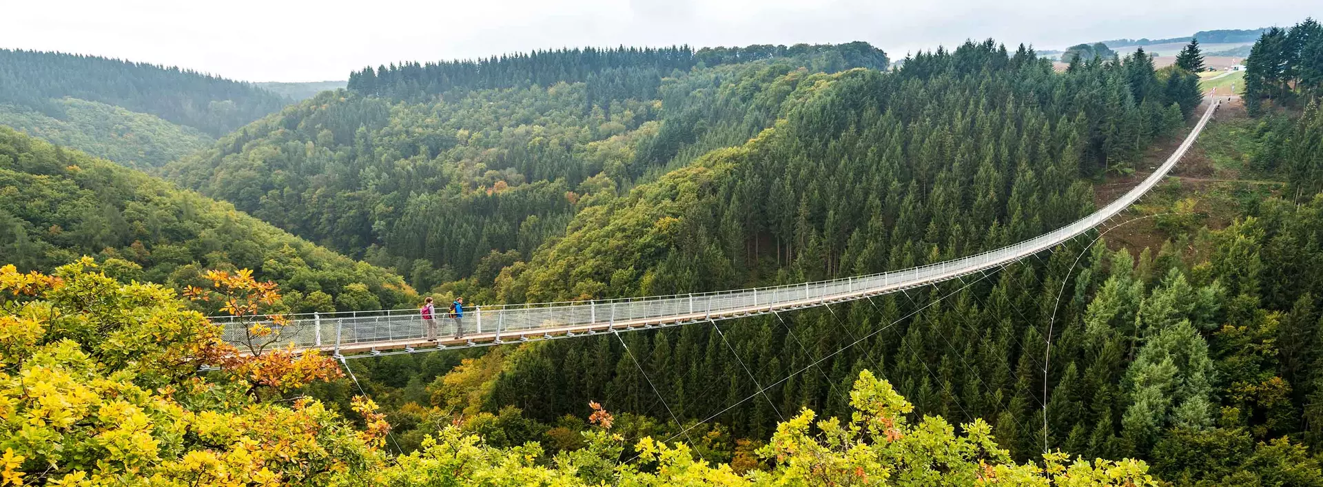im Urlaub auf dem Bauernhof im Hunsrück Deutschlands schönste Hängeseilbrücke Geierlay im Nationalpark Hunsrück-Hochwald besuchen