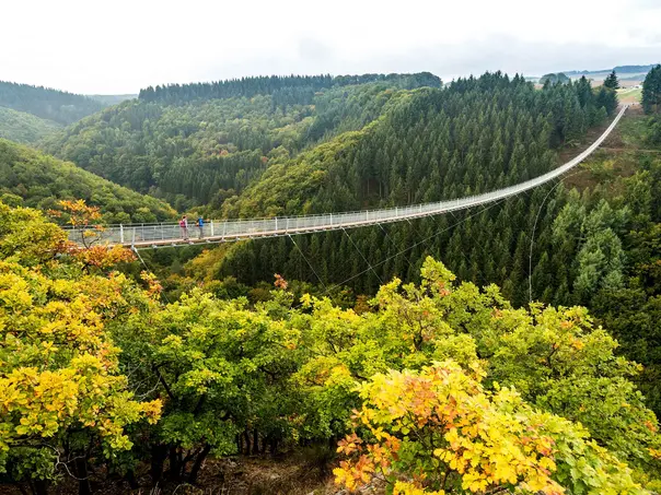 im Urlaub auf dem Bauernhof im Hunsrück Deutschlands schönste Hängeseilbrücke Geierlay im Nationalpark Hunsrück-Hochwald besuchen