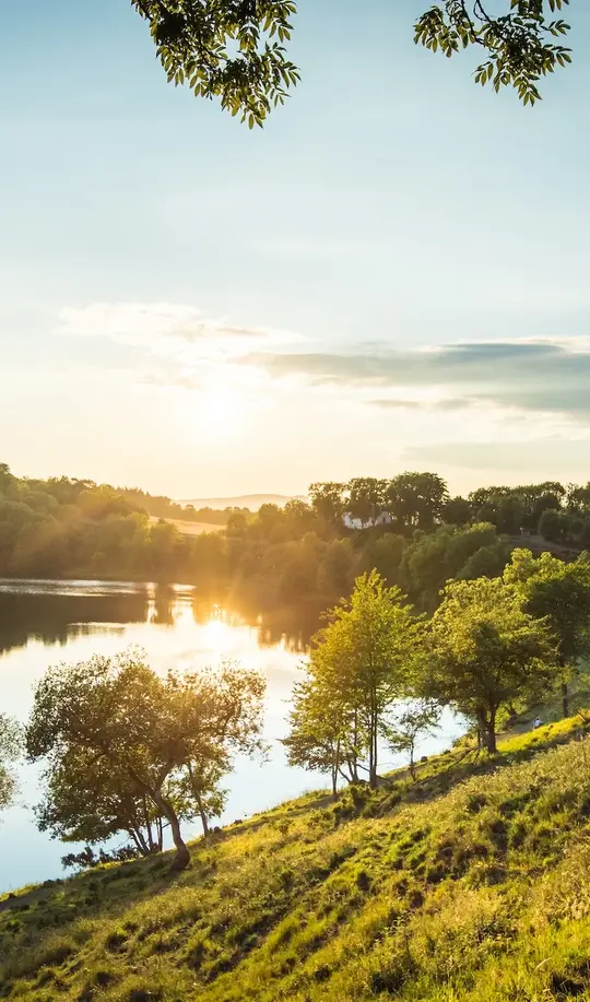 Abendstimmung am Weinfelder Maar (Totenmaar) in der Eifel, Deutschland