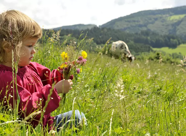im Urlaub auf dem Bauernhof im Odenwald - Neckartal mit den Kindern die Umgebung erkunden