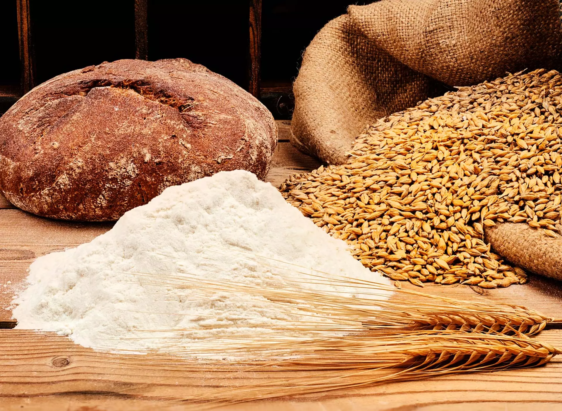 Brotbackkurs auf dem Gesundheitshof - © AdobeStock.com, Thomas Söllner im Gesundheitsurlaub in Thüringen an einem Brotbackkurs teilnehmen