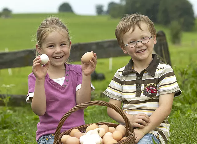 im Familienurlaub auf dem Bauernhof in Bayern frische Eier sammeln
