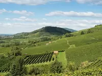 Familienurlaub im Odenwald und an der hessischen Bergstraße zwischen Rhein, Main und Neckar.