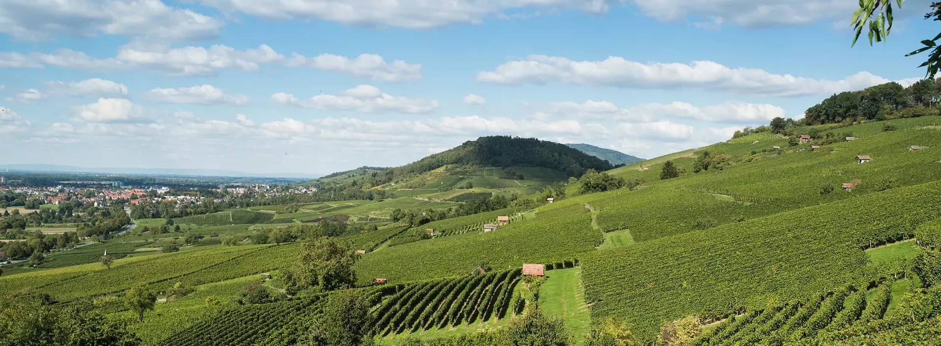 Familienurlaub im Odenwald und an der hessischen Bergstraße zwischen Rhein, Main und Neckar.