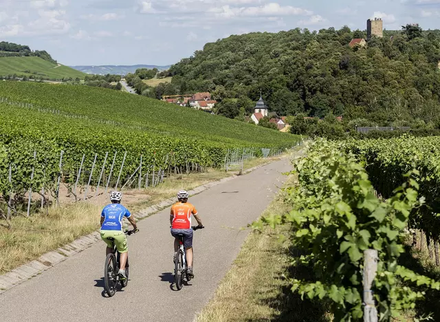 im Urlaub im Heilbronner Land eine Radtour durch die Weinberge machen