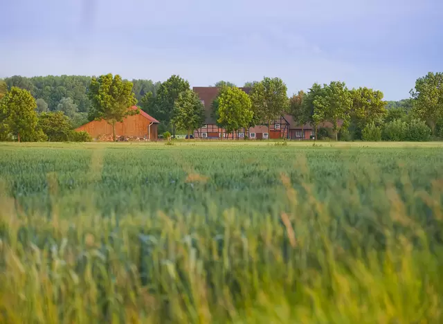 Urlaub auf dem Bauernhof im Münsterland verbringen